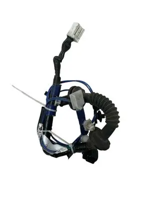Rear door wiring loom