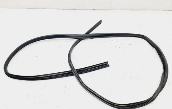 Ford Fusion Rear door rubber seal (on body) 