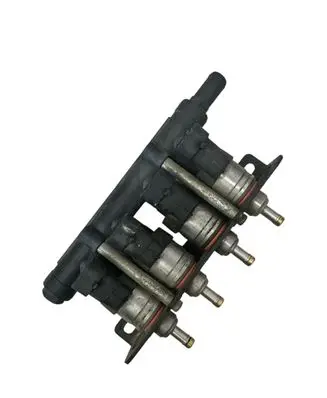 Citroen C5 LP gas injectors set 67R018502 110R018503