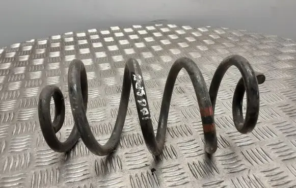 Nissan Qashqai+2 Rear coil spring