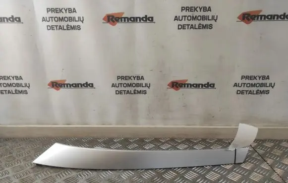 Fender trim (molding)