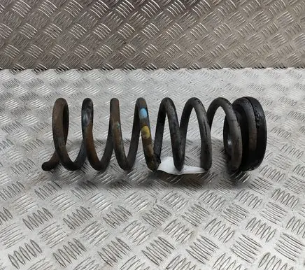 Mercedes-Benz S W140 Rear coil spring A1403240504