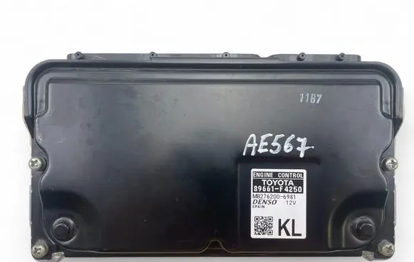 Engine control unit/module ECU