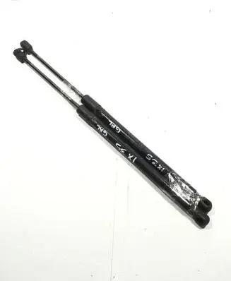 Tailgate/trunk strut/damper