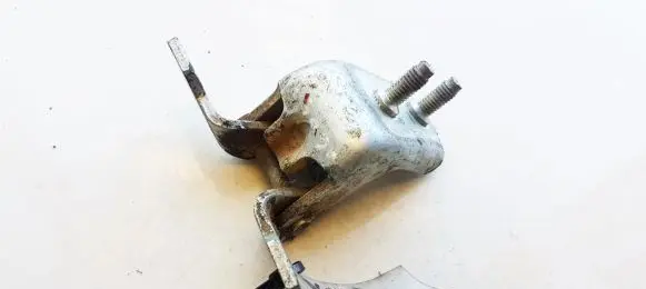 Rear door lower hinge