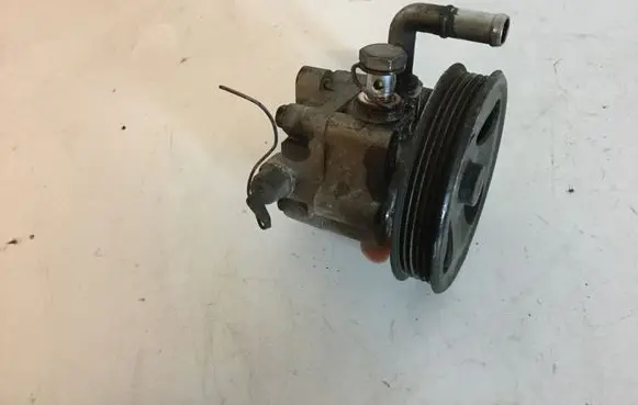 Suzuki Grand Vitara II Power steering pump 67263119 4910065J00