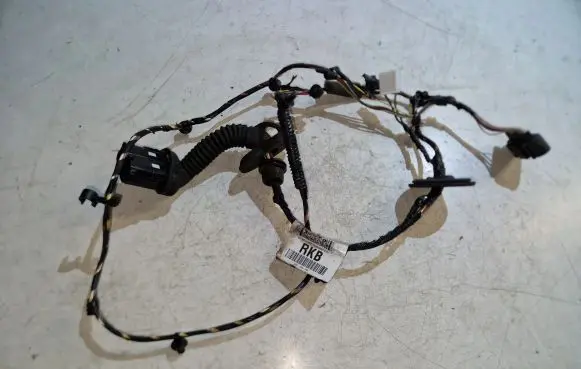 Ford C-MAX II Rear door wiring loom AV6T14240