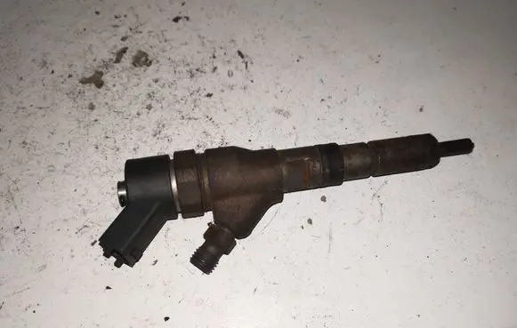 Citroen C5 Fuel injector 0445110008 9635196580