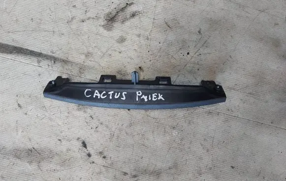Citroen C4 Cactus Other dashboard part 980486697701
