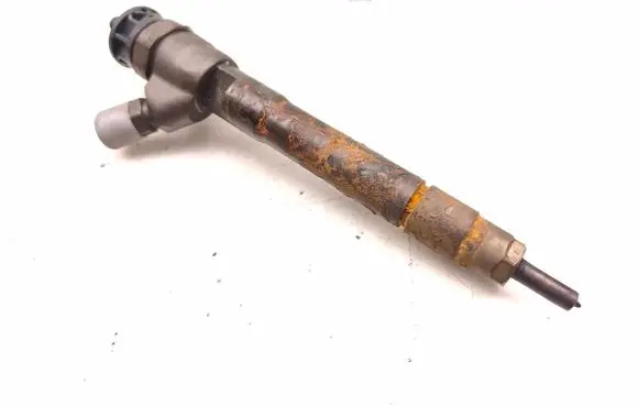 Renault Scenic III - Grand scenic III Fuel injector HMLGT1205R 0445110546