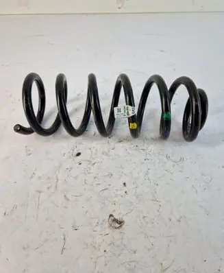 Rear coil spring