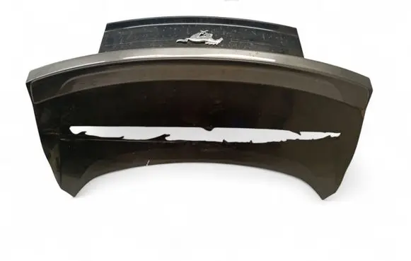 Ford Mustang VI Tailgate/trunk/boot lid