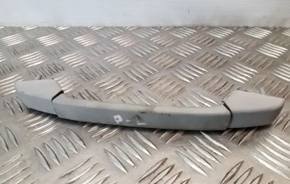 BMW 3 E46 Front interior roof grab handle 8231321