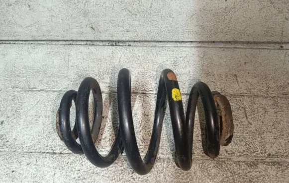 Rear coil spring