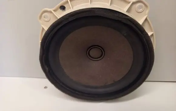 Front door speaker