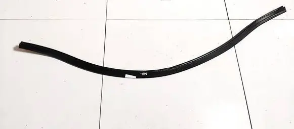 Volkswagen Polo IV 9N3 Rubber seal front coupe door 
