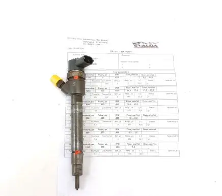 Volvo V70 Fuel injector 0445110298