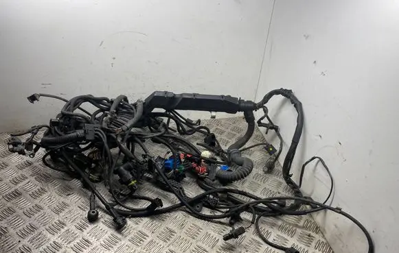 Engine installation wiring loom