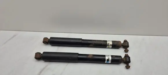 Mercedes-Benz Sprinter W906 Rear shock absorber/damper 19171579