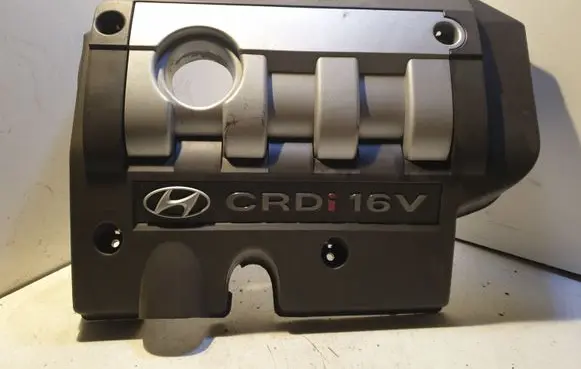 Hyundai Santa Fe Engine cover (trim)