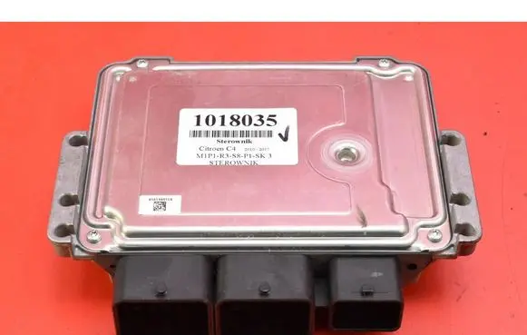 Engine control unit/module ECU