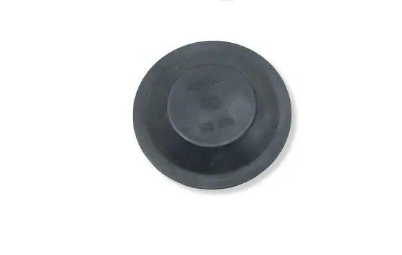Volkswagen Golf V Headlight/headlamp dust cover 153874