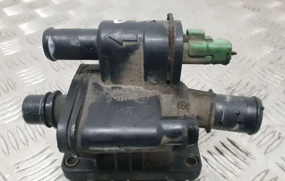 Thermostat/thermostat housing