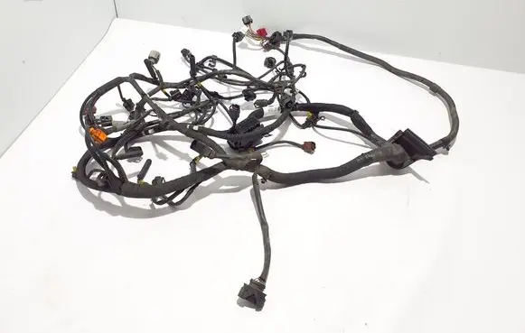 Porsche Cayenne (92A) Engine installation wiring loom 