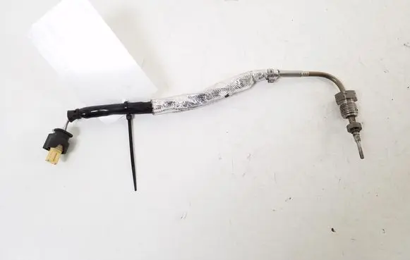 Exhaust gas temperature sensor