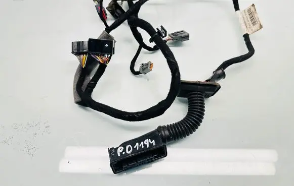 Front door wiring loom