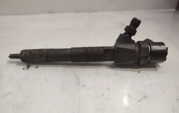 Opel Insignia A Fuel injector