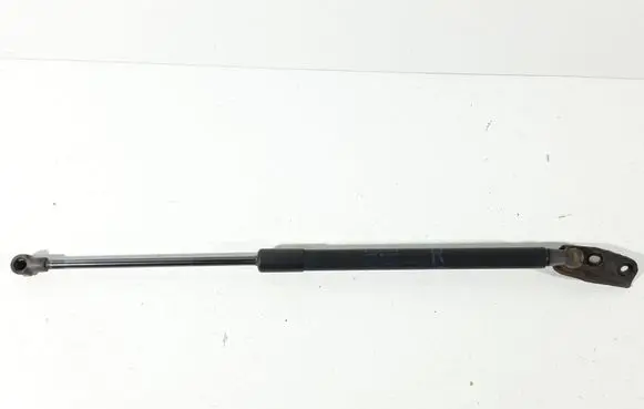 Tailgate/trunk strut/damper