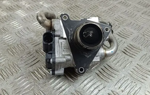 Volkswagen Tiguan EGR valve 04L131501RV110