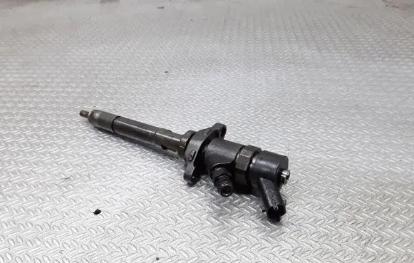 Citroen C5 Fuel injector 0445110259