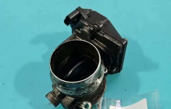 Throttle body valve