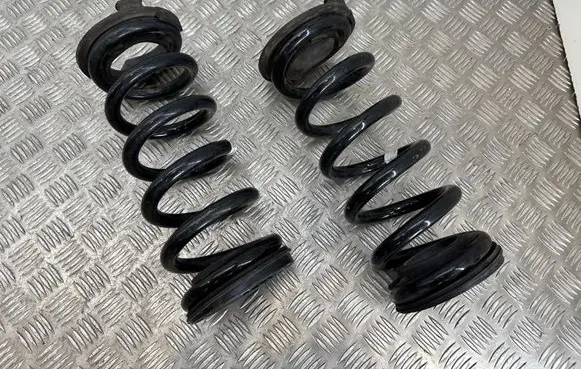 Fisker Ocean Rear coil spring FM2920200474A