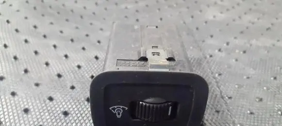 Panel lighting control switch