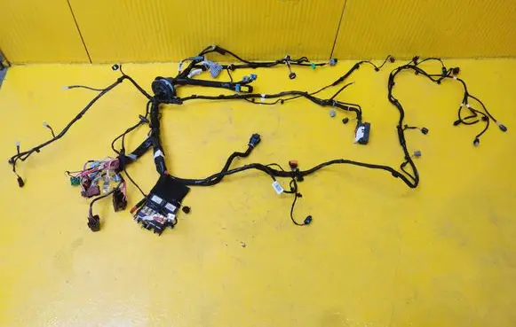 Renault Megane IV Other wiring loom 403881232R