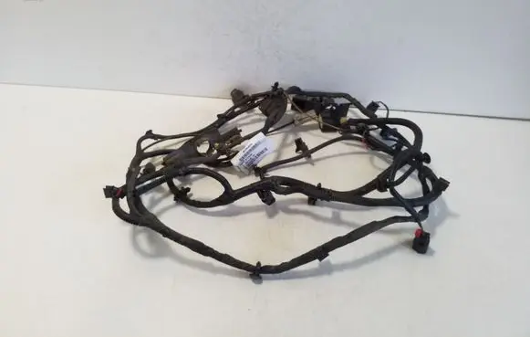 Polestar 2 Parking sensor (PDC) wiring loom 33816125