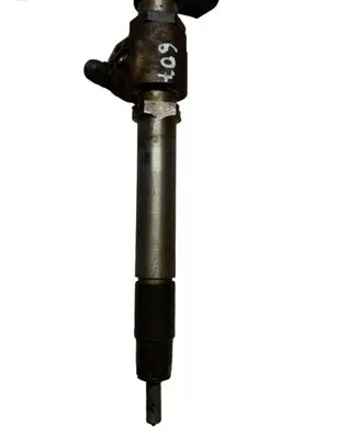 Peugeot 607 Fuel injector 5U3Q9K546AA