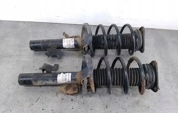 Ford Focus C-MAX Front shock absorber/damper 313283313287