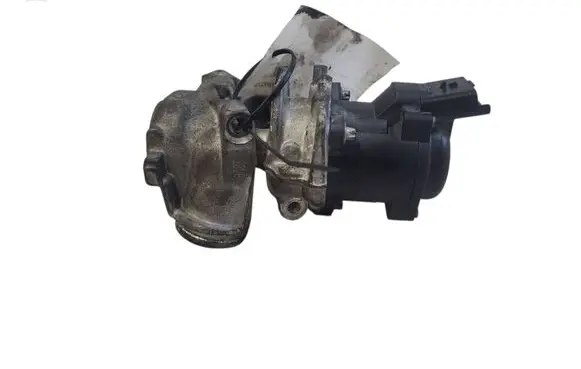 EGR valve