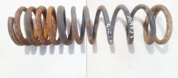 Ford Focus Rear coil spring