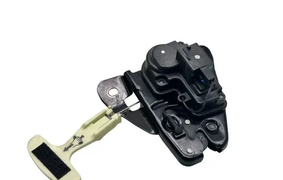 Dodge Charger Loading door lock 22186268AF
