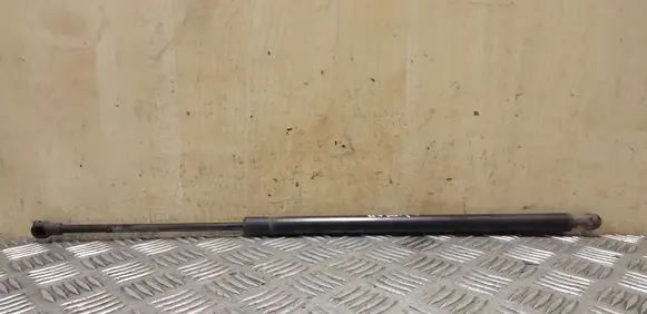 Tailgate strut