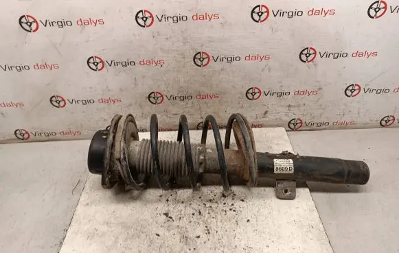 Peugeot 206 Front shock absorber with coil spring 9650022480