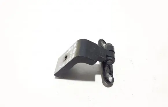 BMW 5 GT F07 Rear door lower hinge 7228154