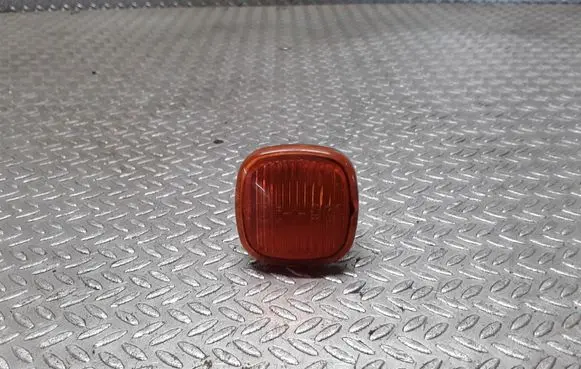 Front fender indicator light