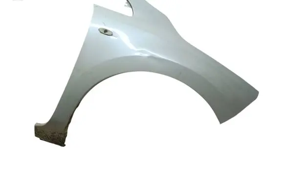 Nissan Leaf I (ZE0) Fender
