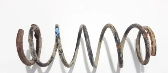 Suzuki Wagon R+ Rear coil spring